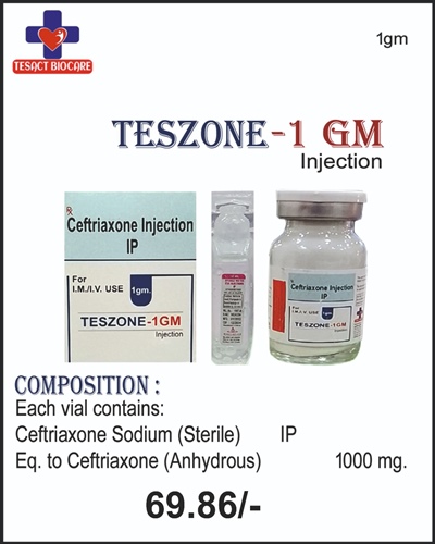 TESZONE-1